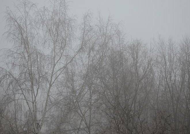 В Рязанской области ожидается густой туман