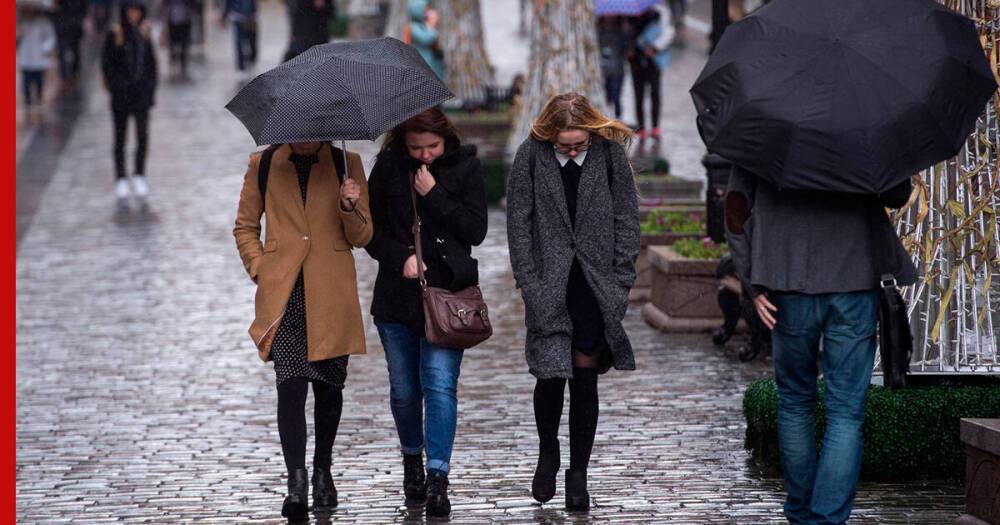 Дождливая погода с температурой до +5°C ожидается в Москве 29 ноября