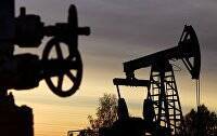 Рублевый индекс Мосбиржи растет на 1,76%, долларовый РТС - на 2,62% на фоне дорожающей нефти