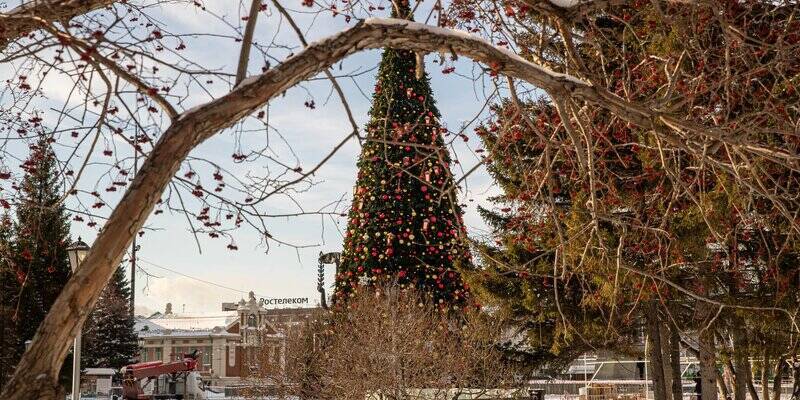На площади Ленина в Новосибирске установили главную новогоднюю елку