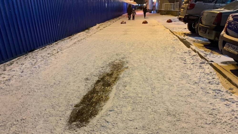 Жители Петербурга требуют от Смольного качественной уборки снега на улицах города