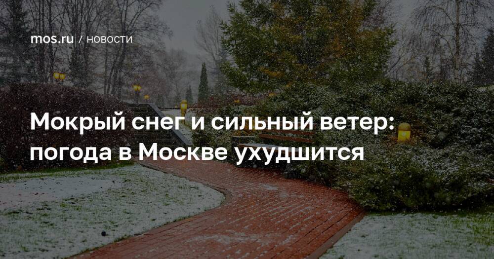 Мокрый снег и сильный ветер: погода в Москве ухудшится