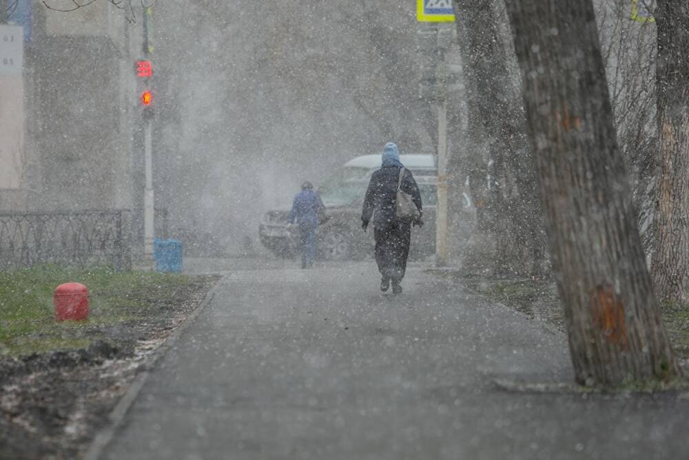 В первые дни зимы в Свердловской области пройдут дожди