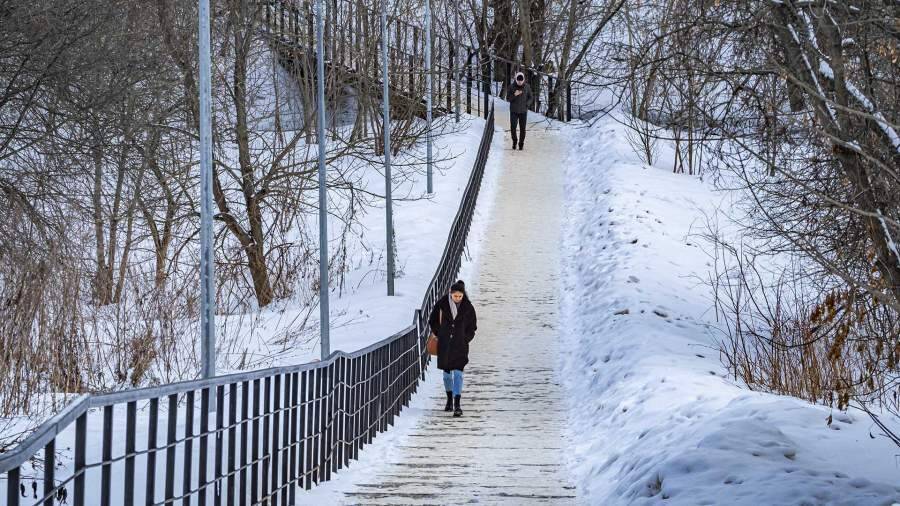 Синоптики назвали сроки прихода зимних холодов в Москву