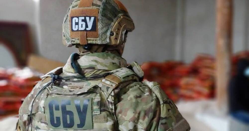 Подготовка госпереворота в Украине: СБУ начала расследование (видео)