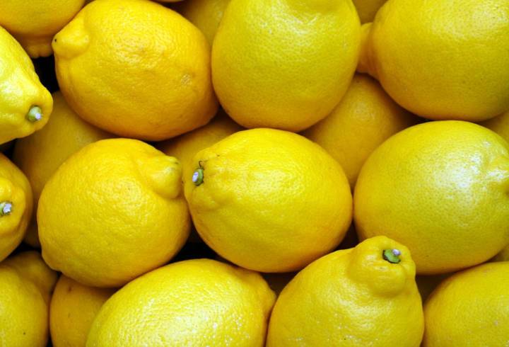 Роспотребнадзор запретил ввозить турецкие лимоны от одного из производителей