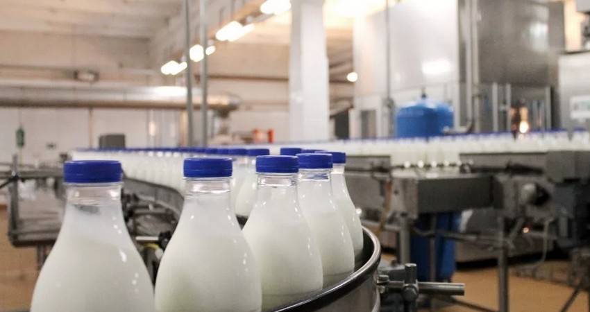 Производство молока к 2025 году планируется нарастить в Беларуси до 9,2 млн т