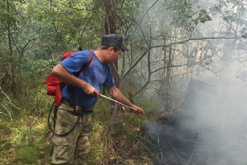 Жители микрорайона Солнечный жалуются на запах гари в Екатеринбурге