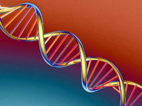 Генетик рассказал, можно ли уберечь будущую семью от наследственных патологий
