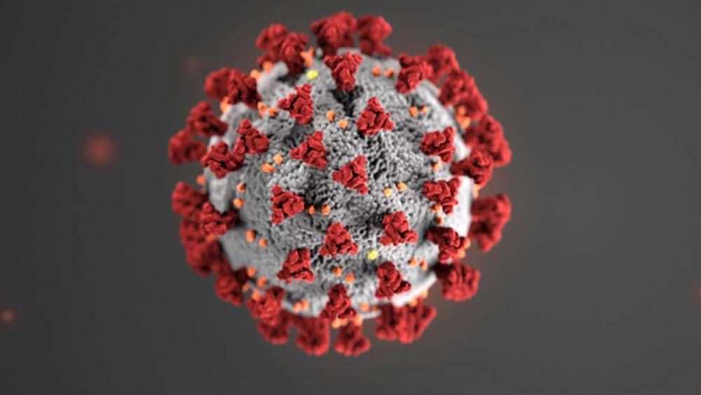 Уровень антител G выше 160 может обеспечить надежной защитой от заражения коронавирусом