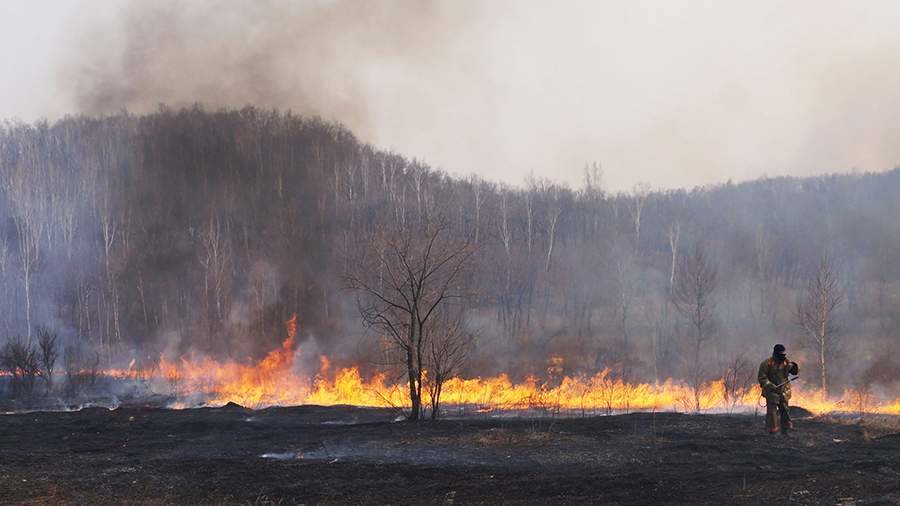В Госдуме призвали Байдена «не ерничать» из-за лесных пожаров