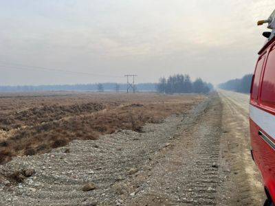 В Магаданской области загорелась сухая трава в тундре