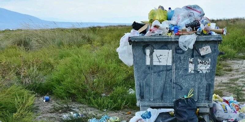 Новосибирскую мусорную компанию «Айсберг» требуют признать банкротом