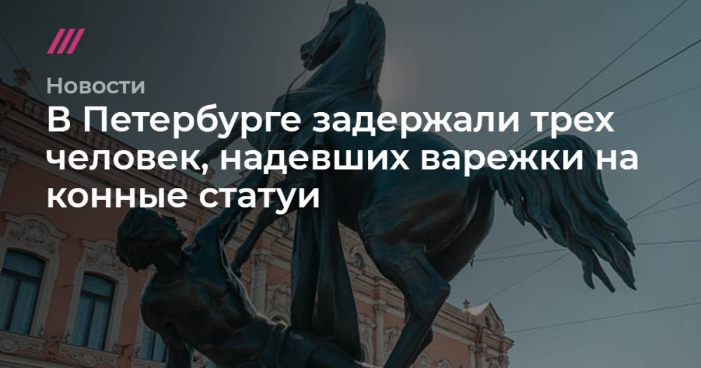 В Петербурге задержали трех человек, надевших варежки на конные статуи