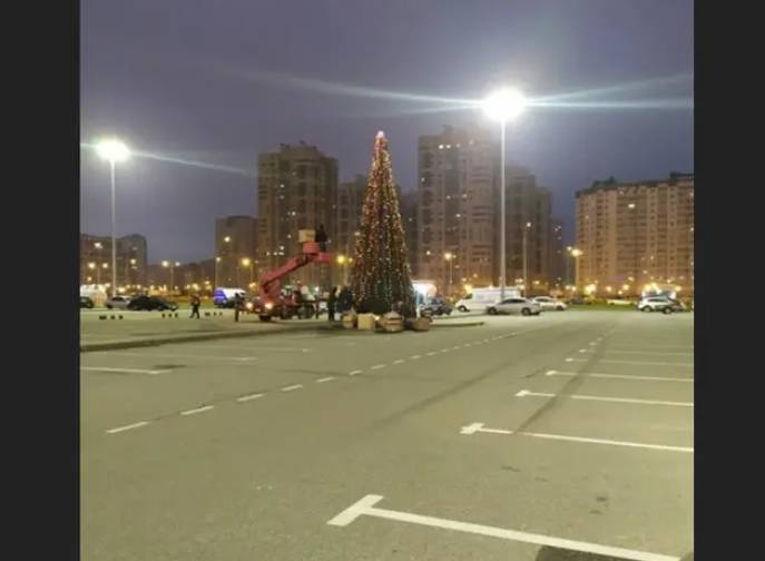 В Петербург приходит праздник: первую новогоднюю ель заметили на севере