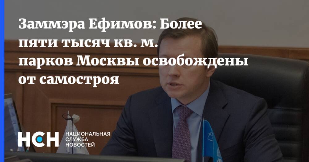 Заммэра Ефимов: Более пяти тысяч кв. м. парков Москвы освобождены от самостроя