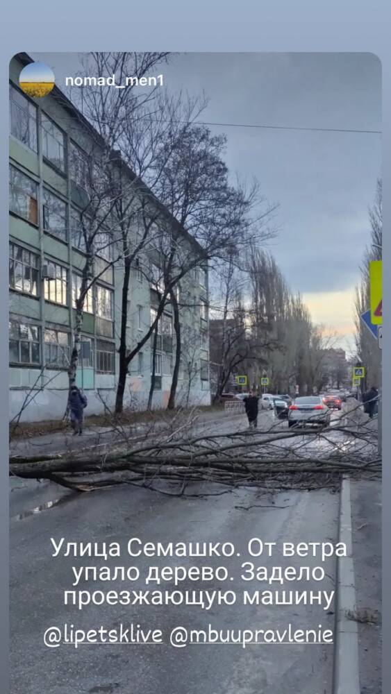 В центре Липецка дерево упало на проезжающую машину