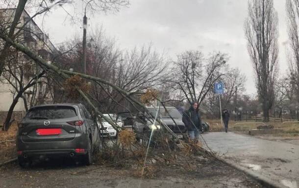 В Харькове ураган повредил авто и повалил деревья