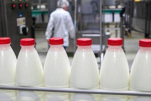 Россиян предупредили об удорожании молока и пива