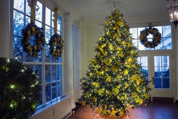 Праздник приближается: в Белом доме установили 41 рождественскую ель