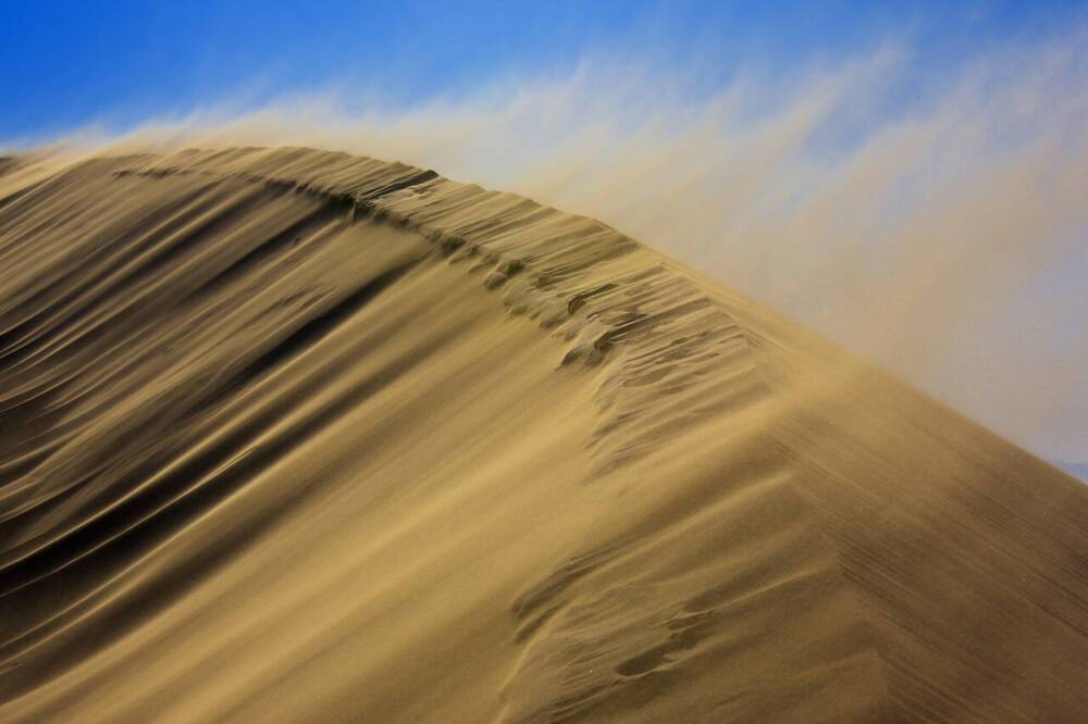 «Метеожурнал» предупреждает о возможном сильном ветре и пыльной буре в Туркменистане