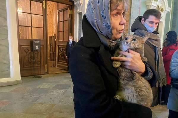 Кошка Серафима перешла из Эрмитажа на работу в Петропавловский собор Петербурга