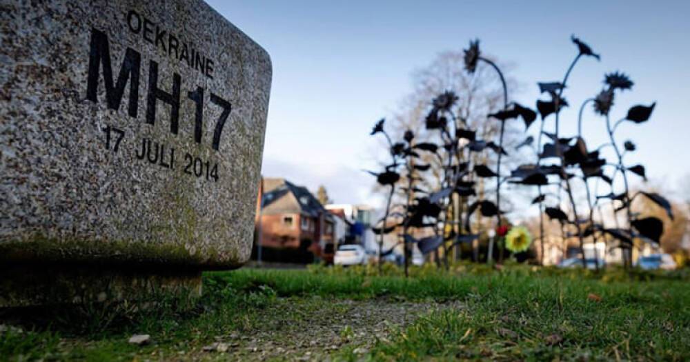 Нидерланды инициируют новое дело против РФ по авиакатастрофе MH17, — СМИ