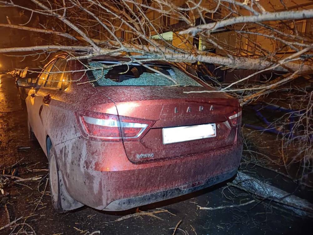 Ветер повалил деревья на автомобили в Самарской области
