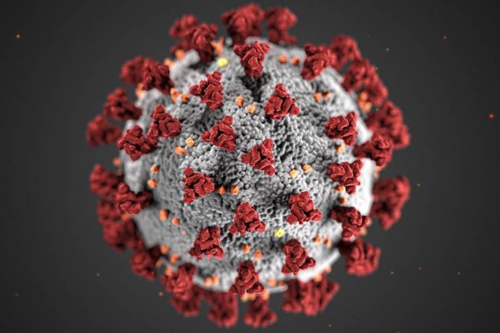 Новый антирекорд: за сутки 27 377 человек заразились коронавирусом, 699 умерли