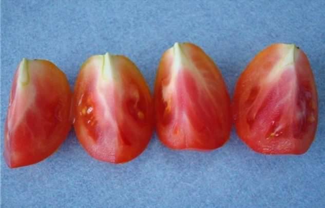 Откуда в томатах появляются неприятные белые прожилки и стоит ли их опасаться