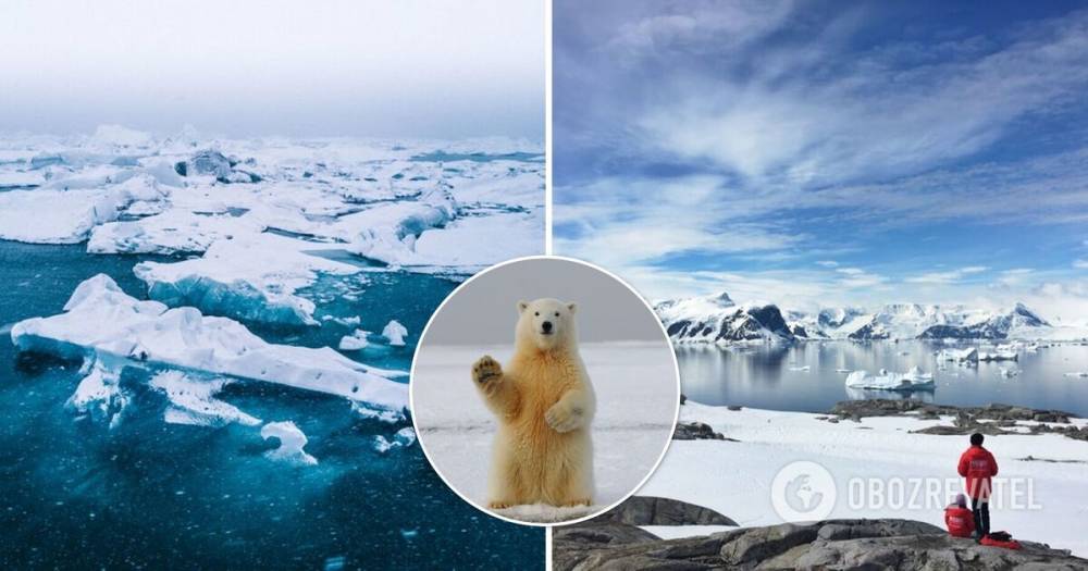 Ученые наглядно показали, сколько льда потеряла Земля – видео