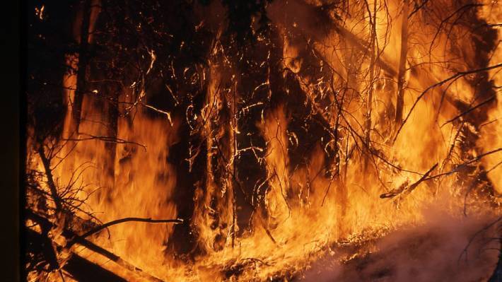 Пожар в чувашской деревне Эльбарусово в 1961 году унес жизни 106 школьников