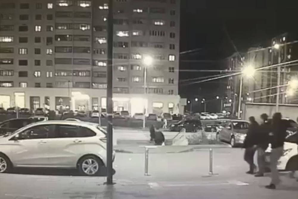 Опубликовано странное видео начала конфликта с кавказцами в Новой Москве