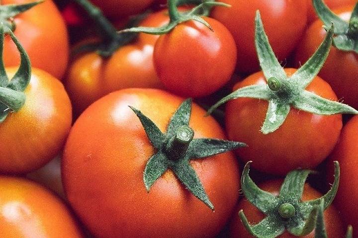 Ставрополье и КЧР вошли в топ-10 по производству тепличных овощей в РФ