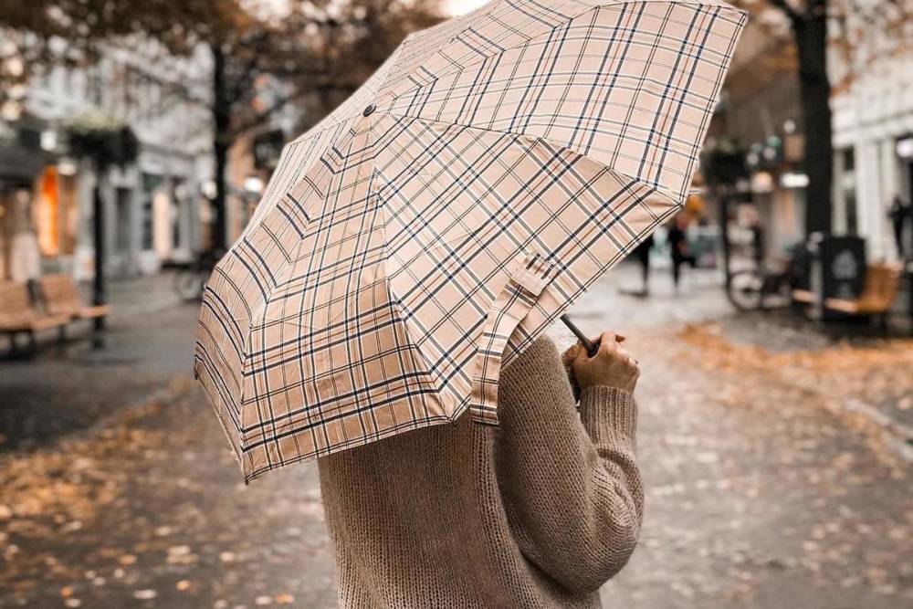 6 ноября в Курске будет пасмурно и дождливо