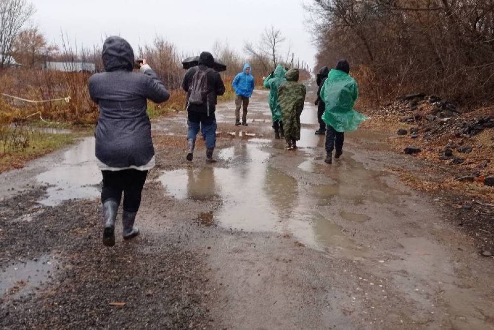 В Рязани начались новые поиски Елены Логуновой