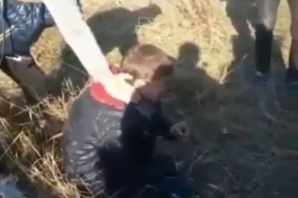 В Хабаровском крае подростки жестоко избили мальчика