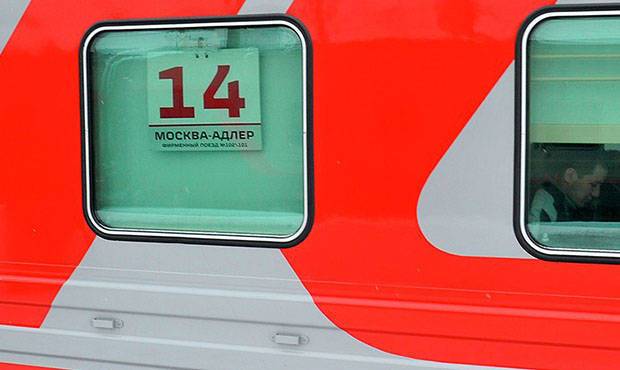 В поезде Москва - Адлер пассажир открыл стрельбу по силовикам из травмата