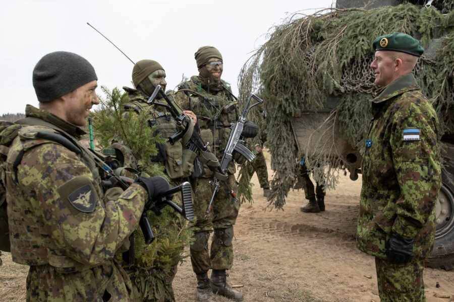 Военные Эстонии по ошибке обстреляли британских солдат в Мали