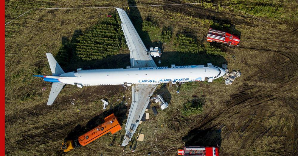 Аварийно севший в кукурузном поле в Подмосковье самолет оказался никому не нужен