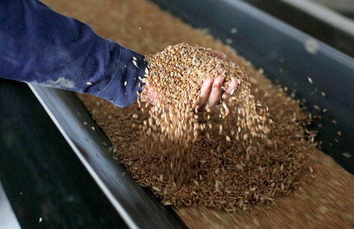 ФАО прогнозирует рекорд мировой торговли зерном за счет пшеницы и риса