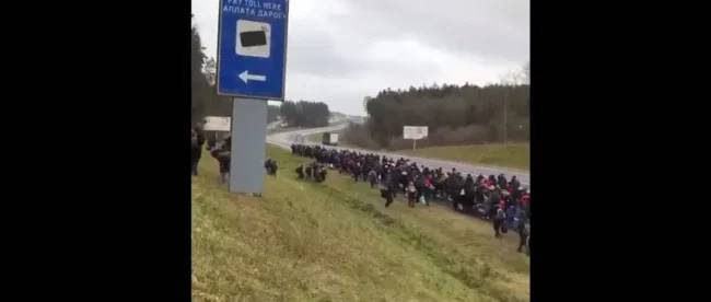В Беларуси огромная колонна беженцев движется к границе с Евросоюзом. Видео