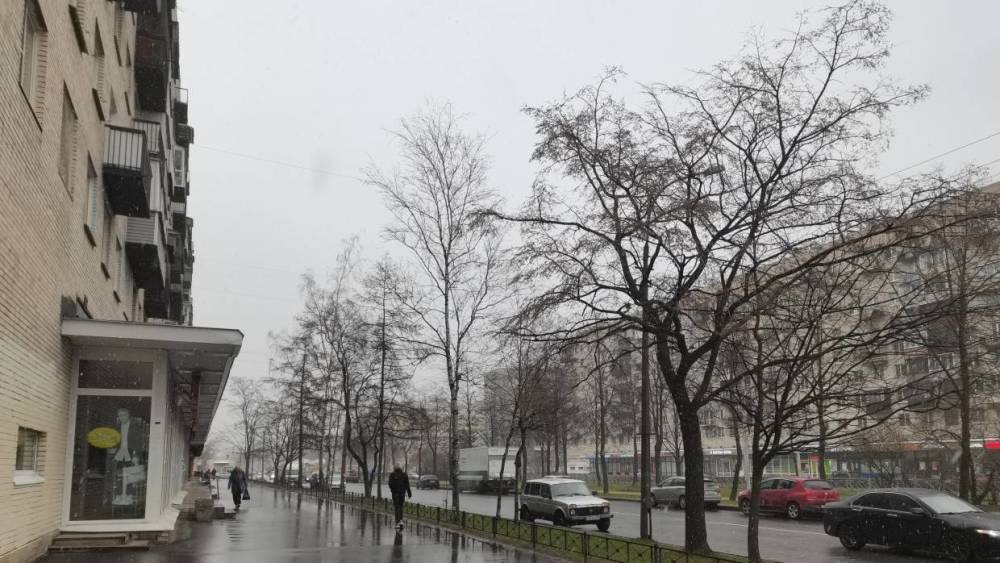 Дожди с мокрым снегом пройдут в Петербурге вечером понедельника