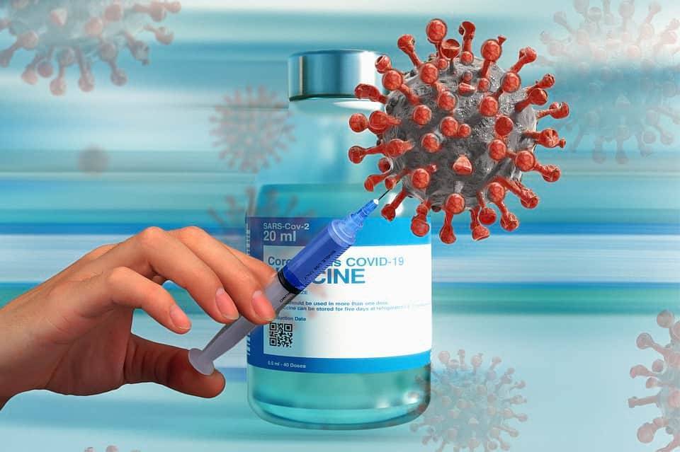 В США создали новую вакцину от коронавируса на основе антител животного и мира