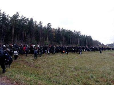 Польша и Литва стянули войска и силовиков к границе с Беларусью