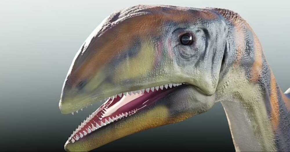Холодная кость. В Гренландии нашли новый вид динозавра, который был 4 метра в длину и весил до тонны