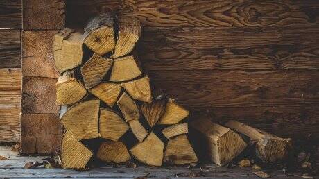 Житель Каменского района пойдет под суд после заготовки дров для бани