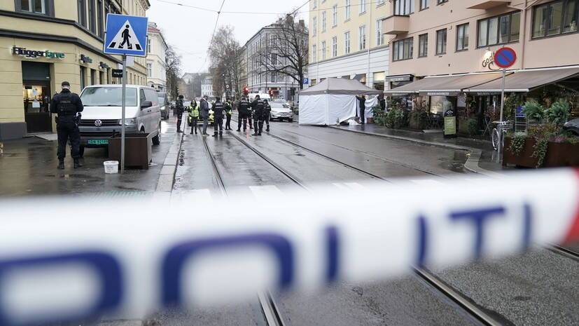 NRK: в Осло полицейские застрелили угрожавшего прохожим ножом мужчину