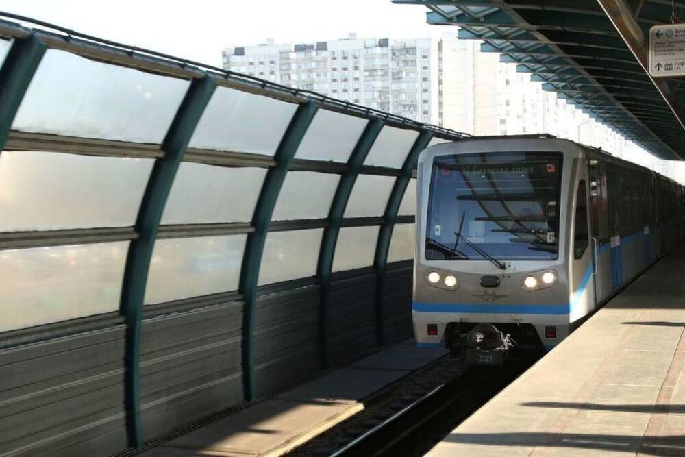 На Замоскворецкой линии метро Москвы останавливалось движение поездов