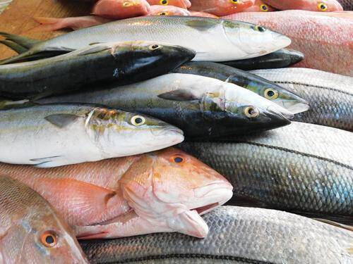 В Китае сохраняется запрет на ввоз рыбной продукции из России